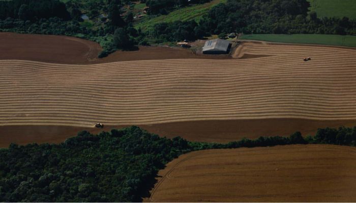 Foto: Jonathan Campos/AEN Safra de verão da soja caminha para o fim com 82% já colhida no Paraná